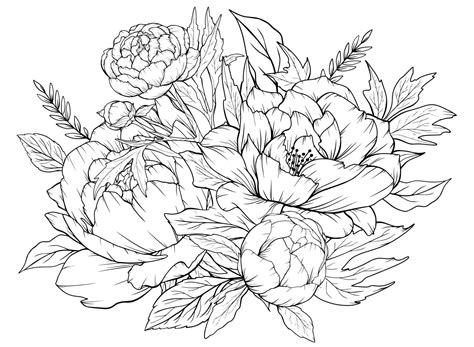 Coloring Page With Peonies And Leaves Vector Page For Coloring Flower