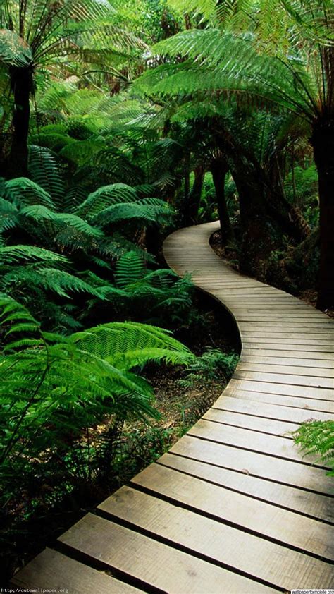 Nature Wallpaper For Mobile