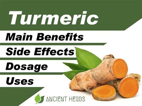Turmeric Benefits Uses Dosage Side Effects