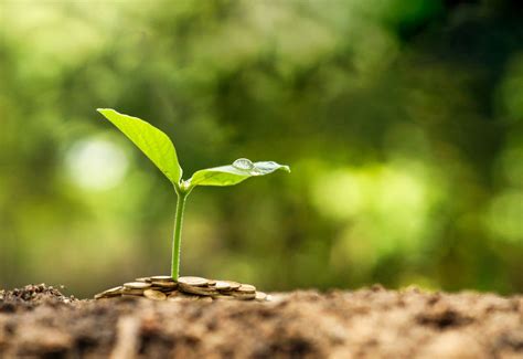 Maybe you would like to learn more about one of these? Environment Sustainability - Mohamed Dekkak