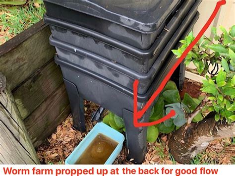 If your worm farm has a tap, just put a bucket under the tap, and turn the tap, the liquid will flow out to fill your bucket. Why Are Worms Escaping From My Worm Farm? | Gardening With ...