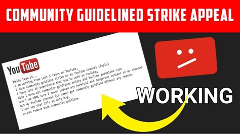How To Successfully Appeal Youtube Community Guidelines Policy