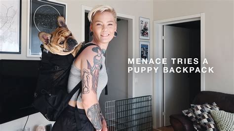 Find great deals on ebay for bulldog backpack. Is Menace a Backpack Dog? - YouTube