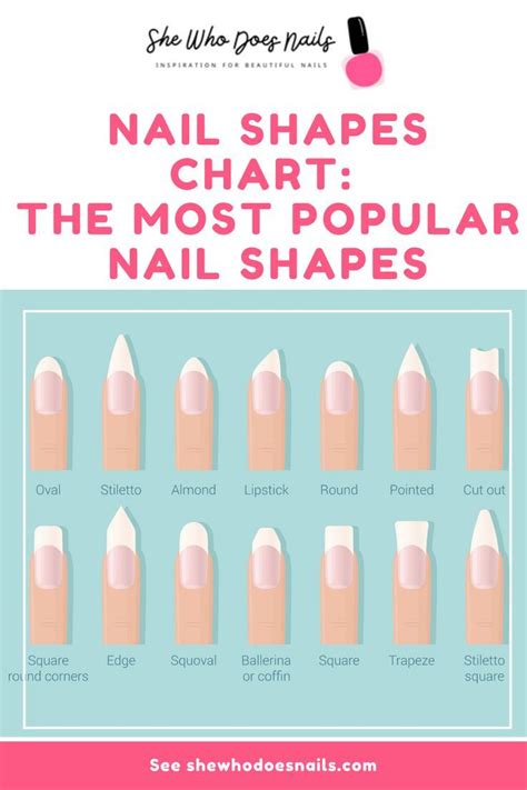 nail shapes chart the most popular nail shapes nail shape chart shape chart nail shapes