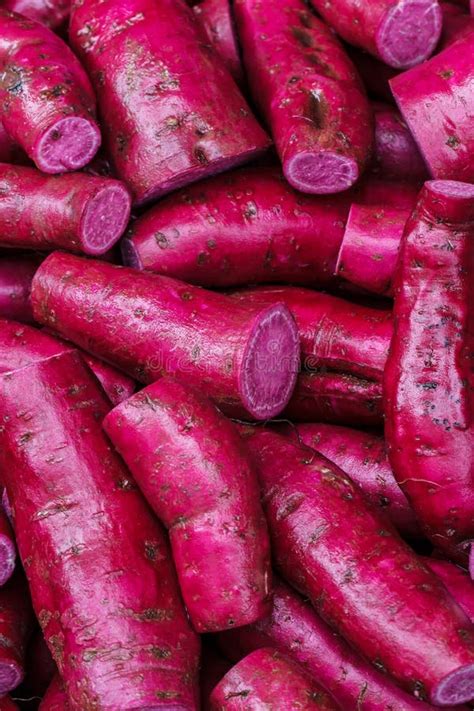 Red Sweet Potatoes Yams Stock Image Image Of Vegetable 57098609