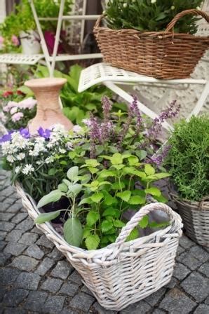 Many herbs are known for their companion plant qualities. Popular Herb Garden Design Ideas for Small Spaces