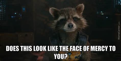 19 Funny Rocket Raccoon Meme You Never Seen Before Memesboy