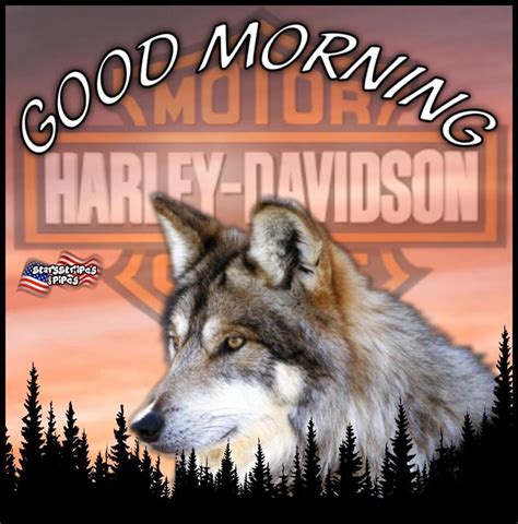 Harley Davidson Signs Morning Memes Biker Quotes Good Morning Husky