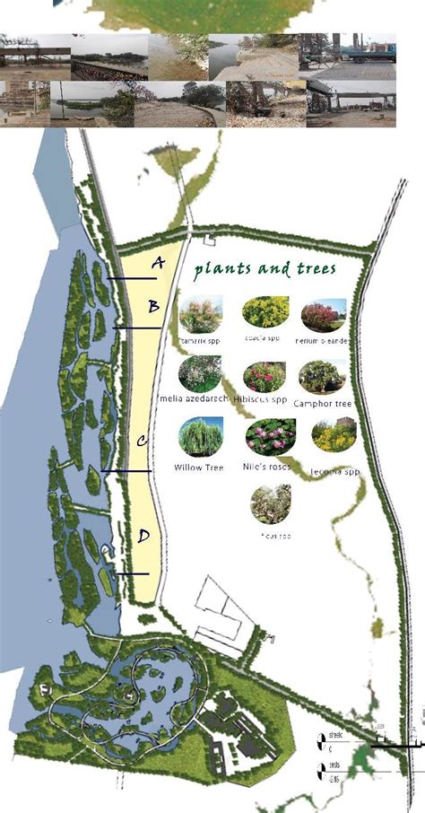 Torra Wetland Park Proposed Design Source Design Team 2018 Download
