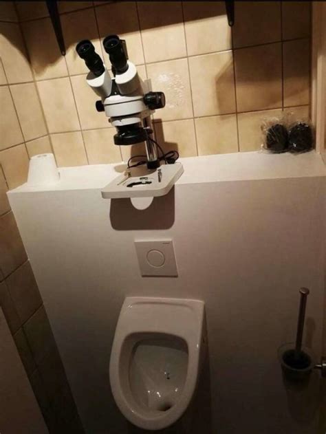 40 Of The Weirdest Toilets That Will Make You Appreciate The One You