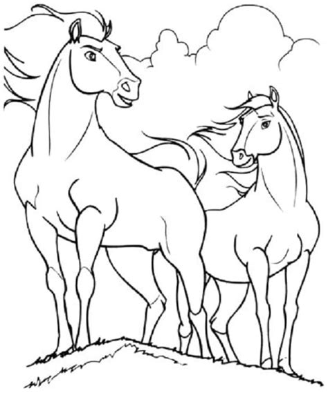 10 Contoh Sketsa Kuda Keren Dan Mudah Broonet