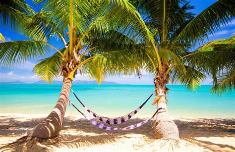 Beaches Beach Paradise Ocean Palms Summer Tropical Sunshine Sea Nature Wallpaper Samsung Mobile