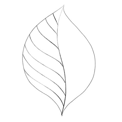 In this post i will share with you my easy. Drawing Leaves Easily Using Simple Shapes - JSPCREATE