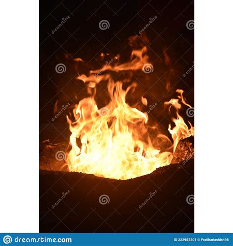 Buring Wood And Fire Stock Image Image Of Wildfire 222952201