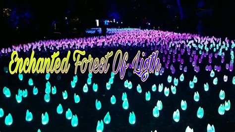 Enchanted Forest Of Lights Descanso Garden 2019 Youtube