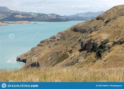 Seascape From A National Park In New Zealand A Sea Bay With A Rocky