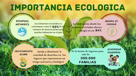 Importancia Ecologica