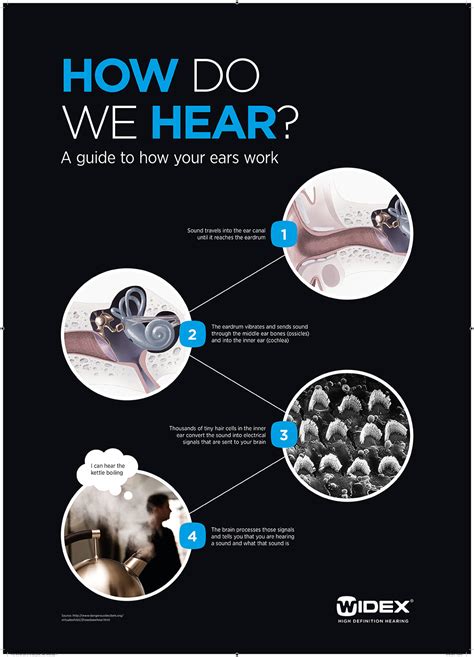 How Do We Hear A Guide To How Your Ears Work Infographic Infographics