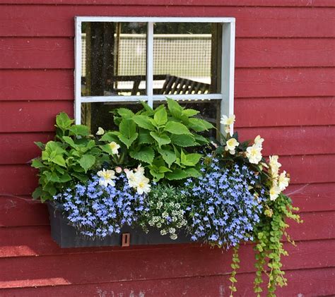Winter Window Box Ideas That Will Look Great All Year