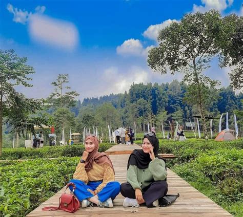 Lokasi Foto Dan Harga Tiket Masuk Kembang Langit Park Batang Jateng
