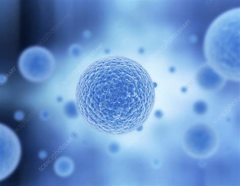 Blue Cell Stock Image F0175947 Science Photo Library