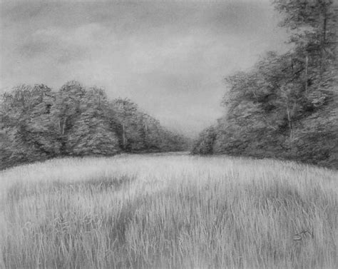 Field Drawing at PaintingValley.com | Explore collection of Field Drawing