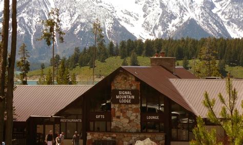 Signal Mountain Lodge Wyoming Grand Teton National Park Alltrips