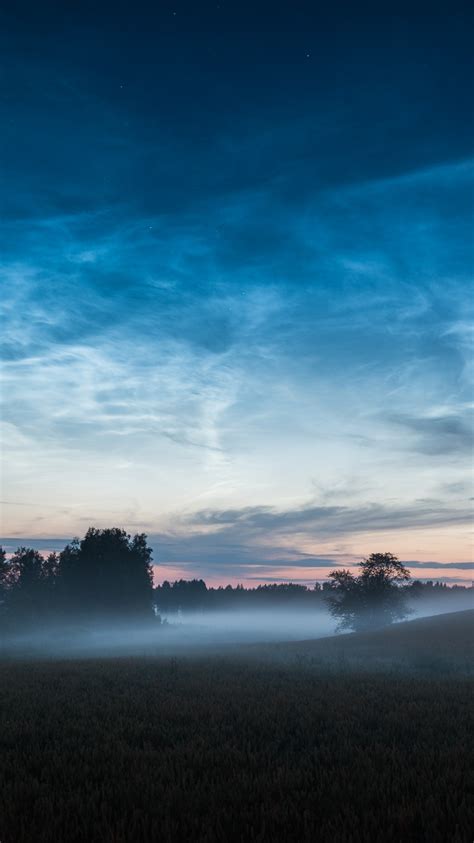Nature Mist Morning Sunrise Iphone Wallpaper Iphone