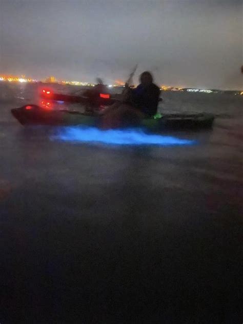 Orlando Bioluminescence Kayak Tour Getyourguide