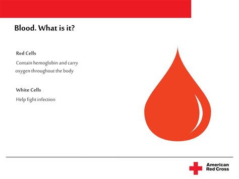 Ppt Blood Basics Powerpoint Presentation Free Download Id2885201
