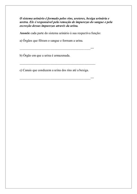 Atividades Sistema Urinário 5 Ano Com Gabarito