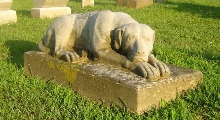 The book was released by doubleday on 14 november 1983. Dan Brown - Find A Grave Photos | Pet cemetery, Beloved ...