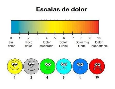 Las Escalas De Valoración En Fisioterapia Ii