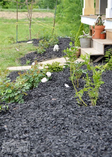 Select flowers to be planted. Create a Low Maintenance Flower Bed (+ Our Front Yard ...