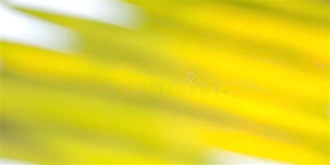 Green Leaf Blur Background Stock Image Image Of Spring 49728333