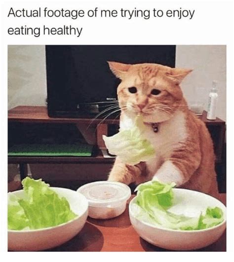 28 Funny Memes Healthy Eating Factory Memes