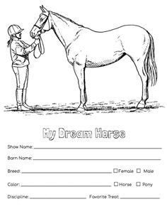 150 horse worksheets ideas in 2021 horse camp horse lessons horses