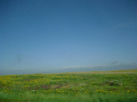 A Grassy Plain By Vza004 On Deviantart