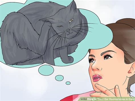 When the cat scratches or shakes it's head it eventually causes a blood vessel to rupture, resulting in a hematoma. How to Treat Ear Haematomas in Cats: 15 Steps (with Pictures)