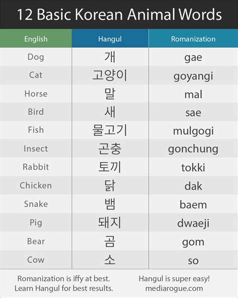 12 Basic Korean Animal Words | Korean language, Learn korean alphabet, Korean words