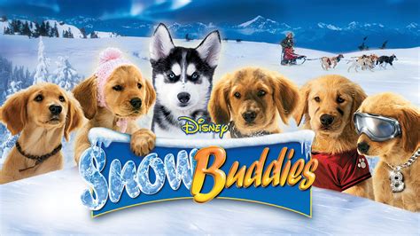 Is 'Snow Buddies' on Netflix? Where to Watch the Movie - New On Netflix USA