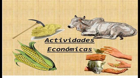 Las Actividades Economicas Agricultura Minera­a Ganadera­a Y Comercio