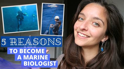 5 Reasons Why You Should Be A Marine Biologist Youtube