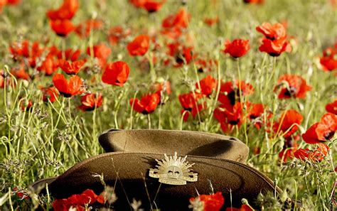 The ceremonies that are held at war memorials up and down new zealand. Remembering ANZAC Day | Sydney Observer