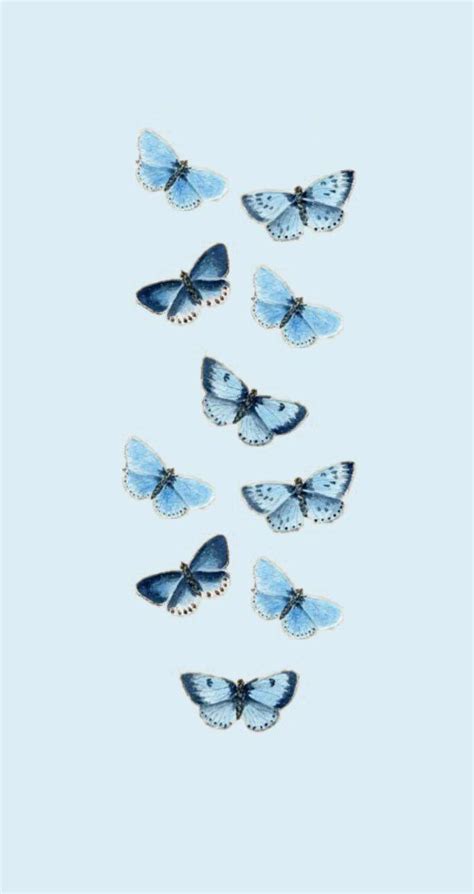 Blue Butterfly Wallpaper Aesthetic With White Background Download