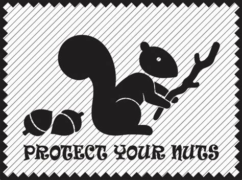Protect Your Nuts Squirrel Svg File Squirrel Clipart Iron On Transfer