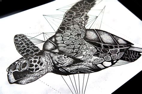 Check spelling or type a new query. Geometric turtle on Behance