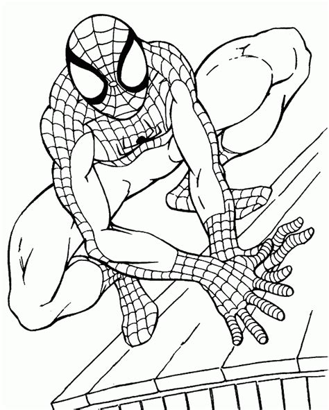 Sketsa Gambar Kolase Kucing Mewarnai Spiderman Imagesee