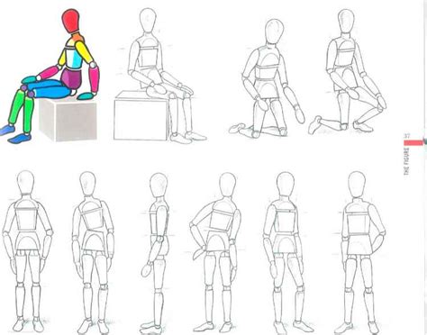 Body Proportions Theory And Practice Fashion Illustration