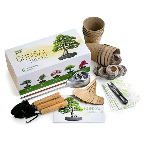 Grow Your Own Bonsai Tree Kit By Garden Pack 5 Different Bonsai Trees
